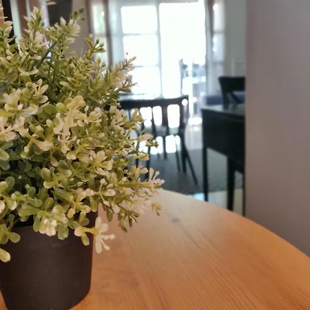 Orlando - Tenerife Sur