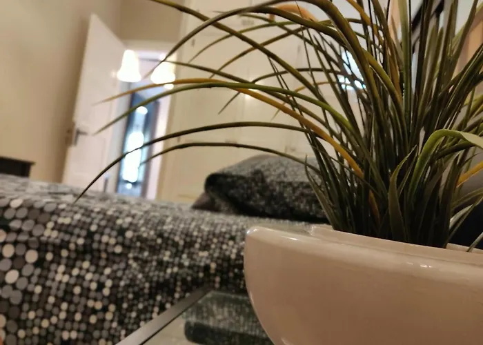 Orlando - Tenerife Sur