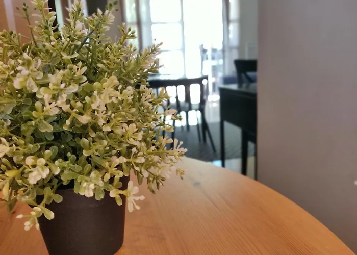 Orlando - Tenerife Sur